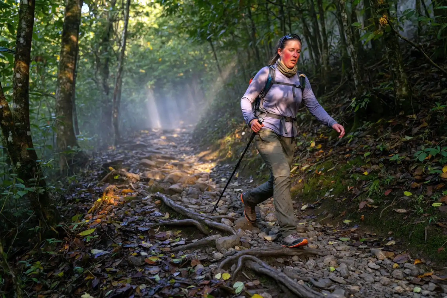 Solo hiker stepping carefully over rocks and tree roots on a forested mountain trail while wearing a light daypack