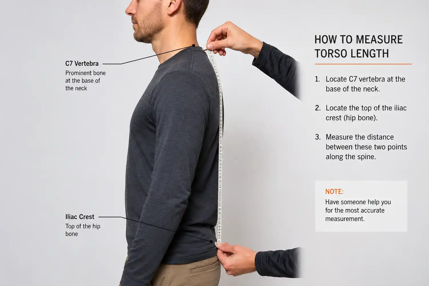 Diagram of how to measure torso length from C7 vertebra to iliac crest for hiking backpack sizing
